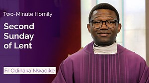 3.7K views · 120 reactions | For this week's two minute homily we...