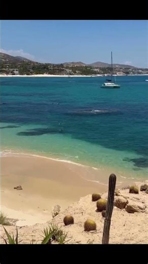Here’s what a true swimmable beach in Cabo looks like.