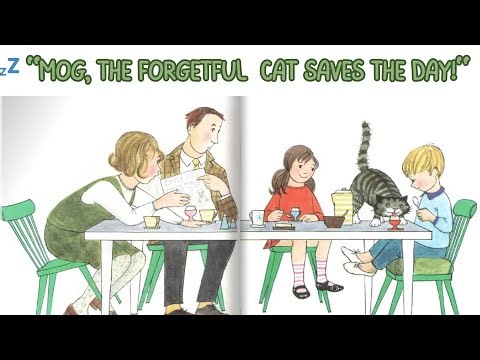 🐱✨ "The Cat Who Forgot EVERYTHING! | Mog’s Hilarious Day | Kids Storytime| Bedtime Story