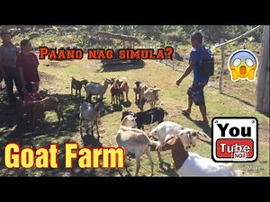 Goat farming philippines