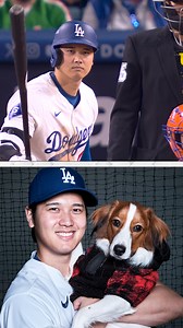 345K views · 8.1K reactions | Decoy is always with Shohei  | MLB on FOX | Facebook