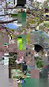 Sundays inside the Barbara Hepworth Museum and Sculpture Garden. 🌸 Hepworth's home and studio for most her life, the garden is a sculptural haven located in Cornwall just around the corner from Tate St Ives. https://bit.ly/428BIHp | Tate