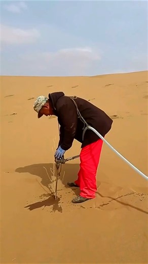 How China Is Turning Deserts Green 😱
