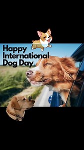 Happy International Dog's Day  When is National Dog Day? National...