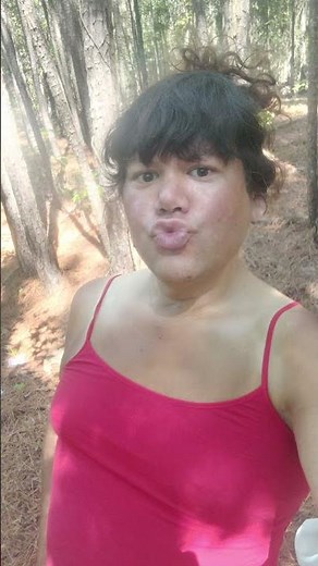 Animal by Def Leppard