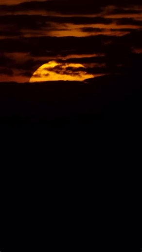 RDF on Instagram: "“In just a few years, Africa has gone from limited connectivity to a mobile-driven economy. Mobile money is a good example of this. What began as a solution for those excluded from formal banking, has grown into a global model of financial inclusion. This initiative proves that innovation does not belong to one part of the world alone. It can emerge anywhere, from anyone, given the chance.” President Kagame #MWC25"