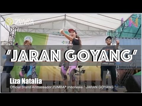 Jaran Goyang | Indonesian Dangdut Music | Choreography By Liza Natalia & Team