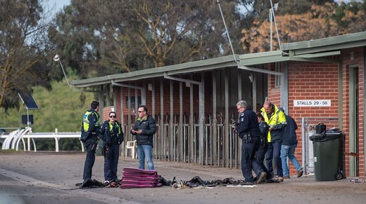 Woman, 22, dies after falling off horse in Melbourne