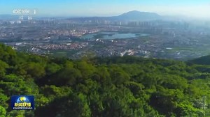 Fujian awaits! Walk the historic lanes of Fuzhou, discover Quanzhou's ancient port, and taste authentic Min cuisine. Ready for an unforgettable journey? Join us in Fujian — China’s hidden gem awaits! #FujianVisit #FujianofCharm | Refreshing Fujian 清新福建