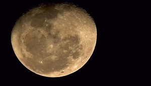 16K views · 126 reactions | #Muvhango | Drama catch-up | Facebook