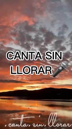 CANTA SIN LLORAR🎤#parati #foryou #cantasinllorar #canta #llorar