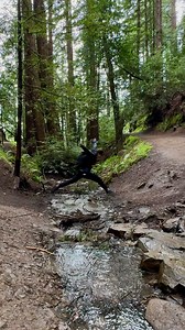 “i’ll catch up i just found a cool tree!” (i always find cool trees) #hike #photography #backpacking | pepper steps