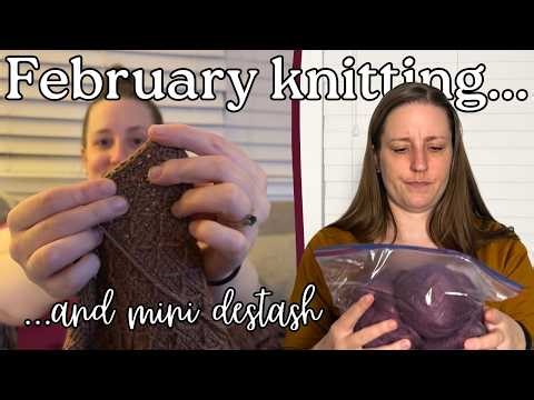 Lefty Knits Podcast | February knitting projects, a bedbug scare, & mini destash