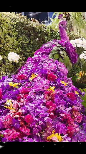 5.1K views · 138 reactions | Hawaiian Orchids on Reels | Facebook