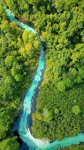 Florida Travel Guide on Instagram: "Welcome to Weeki Wachee Springs ✨ Weeki Wachee is one of Florida’s most beautiful springs, where you can see live mermaids, take a trip on a river boat cruise, learn about Florida wildlife, and swim in the pristine waters! Tag someone you want to visit with! 🎟️ $13 Adults | $8 Children 6+ | Free 5 Years & under 🧜‍♀️ Mermaid Show is offered at 11 AM, 1:30 PM & 3 PM ✍️ TIP: Arrive EARLY! Summer months are busiest and the park reaches capacity quickly 📍 Weeki