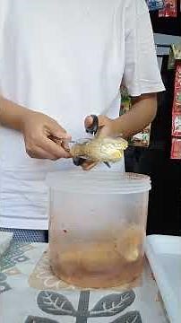 #jajanancirebon #kedaifanny #pempekchilioil #basotahu #dimsumkeju #miepedas