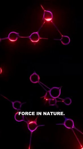17 Particles Build All of Reality — The Standard Model Explained #shorts