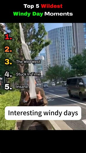 Top 5 Funniest Windy Day Clips! #wind #foryou #funny #fails
