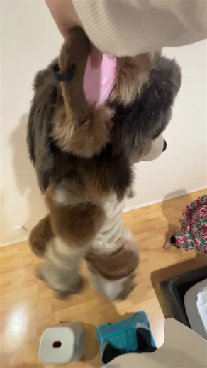 @fingrr #trend #fursuit #mutt #cute | fursuit