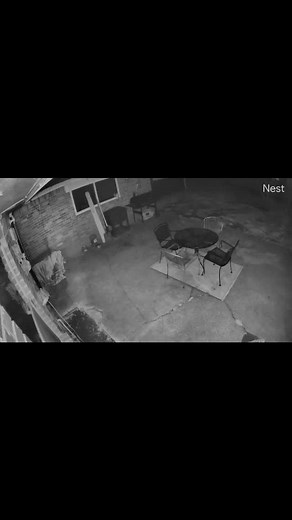 Ricardo Castaneda on Reels