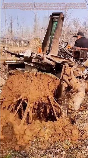 Root Revolution: How Modern Farming Handles Tree Removal