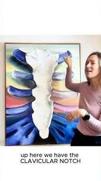 What's the story of the sternum bone?