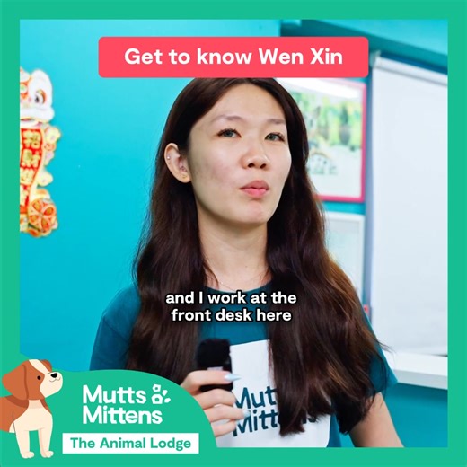 Meet Wen Xin!! You’ll catch her manning the Mutts & Mittens The Animal Lodge front desk, but lowkey she’s here to care for dogs and shower them with love🐶💖 Come say hi to her the next time you are at The Animal Lodge! (But don’t be surprised if she’s busy giving belly rubs mid-shift 😂) #doglover #animallovers #petcare #doglovers #theanimallodge #muttsnmittens | Mutts & Mittens Community