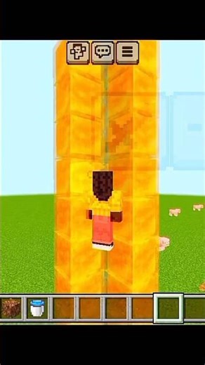 Minecraft Honey Block Elevator