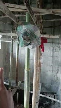 What is the distance between the Bondek concrete slab supports?