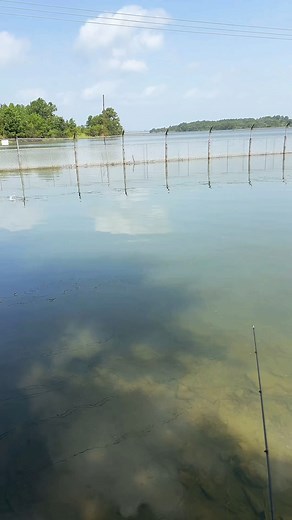 551K views · 10K reactions | Nesting shell crackers (catch clean cook) #cooking #fishing #outdoors #easyrecipe #cheapprice #seafoodlover | Wade Fishez | Facebook