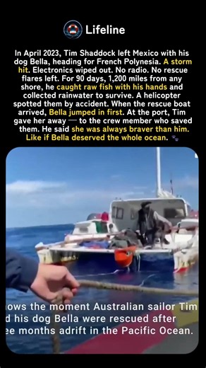 90 Days, 1,200 Miles From Shore. One Man, One Dog, Zero Help 🌊😭