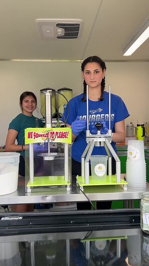 Delicious Fresh Squeezed Lemonade and Slushies on a Sunny Sunday!