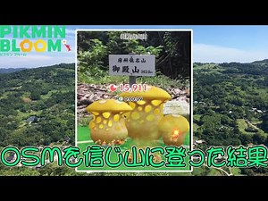 【検証！山判定のボーダーラインを探れ】OSMの三角マークが確認出来た山に登って確認（ピクミンブルーム）