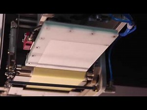 Weber LA4050B Electric Linear EL250 - Printer Applicator