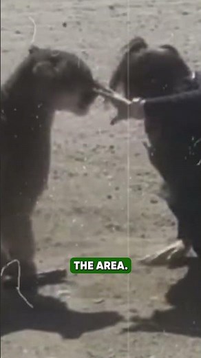 A starving mountain lion attacked twice… and wouldn't stop until someone was dead.