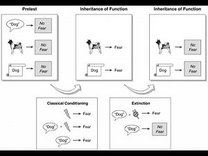 Stimulus Equivalence in ABA (Part 1) | Introduction & Basic Concepts