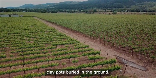 The Qvevri: Georgia's Ancient Winemaking Legacy