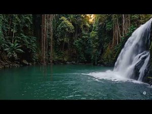HD Wide View of Tropical Waterfall & Pool | Seamless Loop Nature Scene