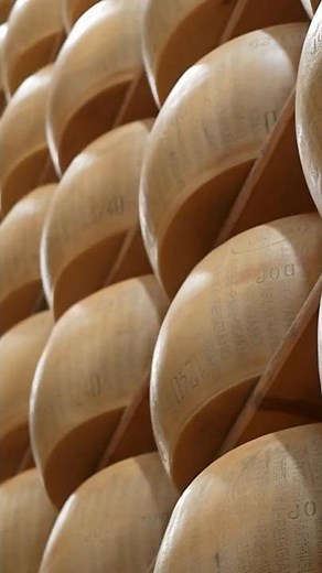 The production of Parmigiano Reggiano