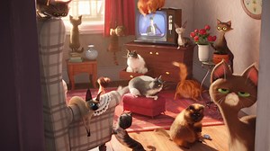 Pets Trailer DF