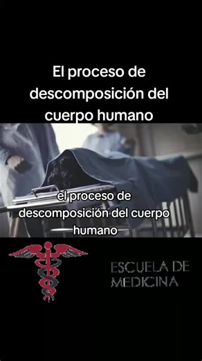 El Proceso de Descomposición del Cuerpo Humano