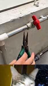 19K views · 84 reactions | menambal pipa bocor | Cartoon Old'd | Facebook