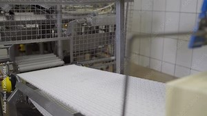 Technology of cheese production. Conveyor line for cheese packaging process. Cheese processing at food factory