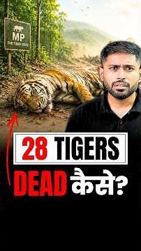 28 Tigers Dead in 5 Months 😨 | Madhya Pradesh Tiger Crisis | UPSC Current Affairs