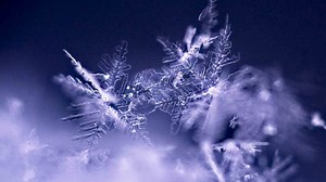 4.8K views · 200 reactions | Wilson Bentley, un pionero en la microfotografía, logró captar por primera vez una imagen a detalle de los copos de nieve. Los cristales eran “milagros de belleza”, cuya estructura jamás se repetía. #BienYDeBuenas | NMás | Facebook