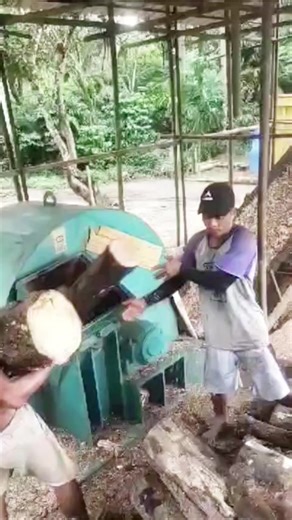 Wood Shredder, mighty in shredding#woodprocessing #woodcrusher #woodchipper #crusher #shredder #shreddermachine #trees #破碎机 #machine #shredded