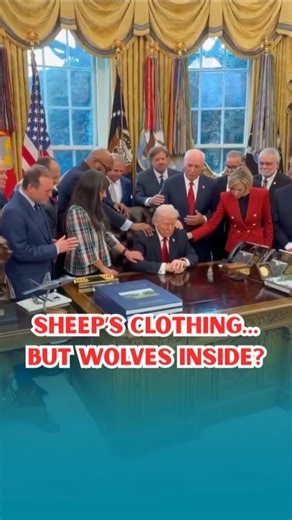 Sheep’s Clothing… But Wolves Inside?