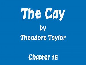 The Cay - Ch 16