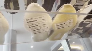 Yeezy destocking boosts Adidas sales outlook