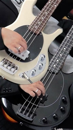 ショートスケールのスティングレイ!? music man Short scale Stingray